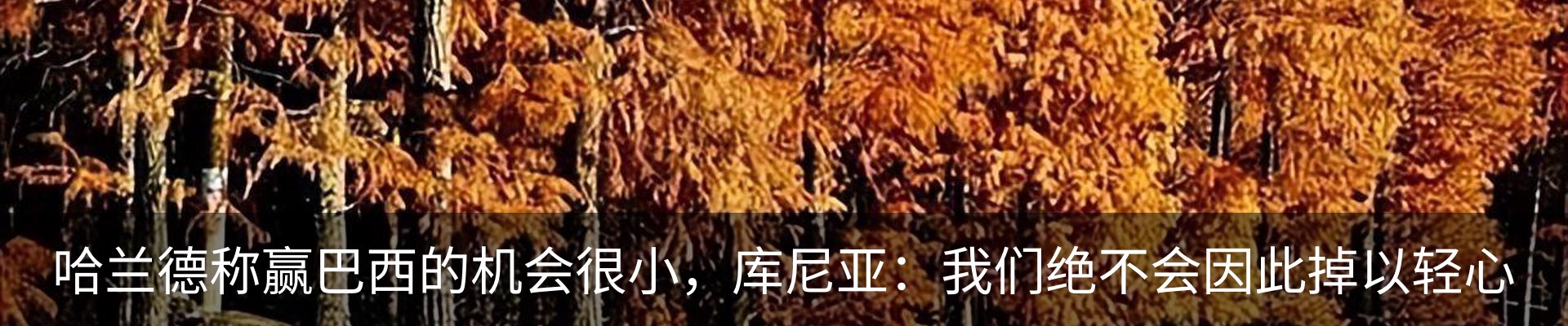 资讯中心