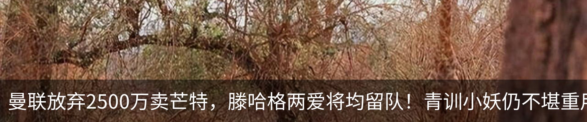 资讯中心
