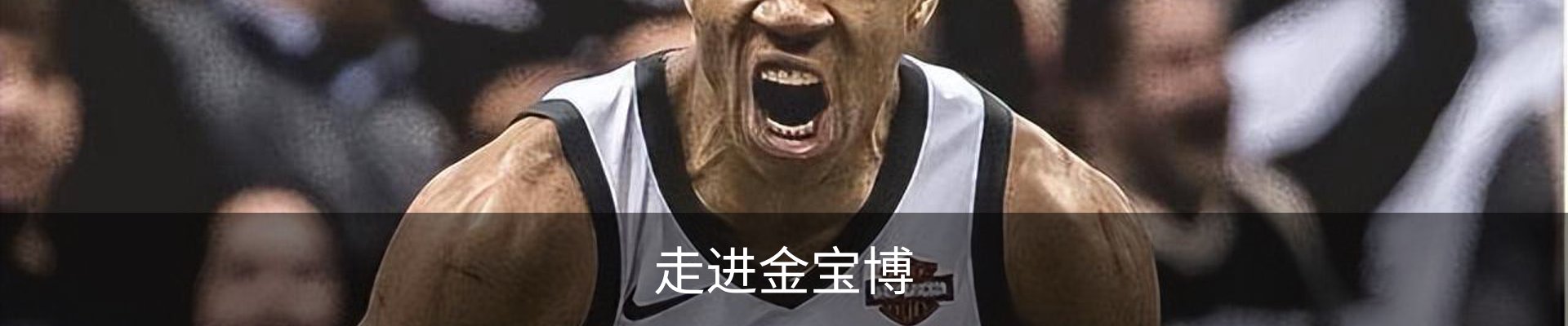 走进金宝博